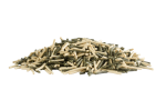 NervControl.png
