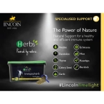 mieszanka-ziolowa-odpornosc-immunoherb-lincoln.webp