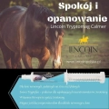 suplement-uspokajajacy-lincoln-trypto-mag-calmer.webp