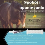 suplement-uspokajajacy-lincoln-trypto-mag-calmer.webp