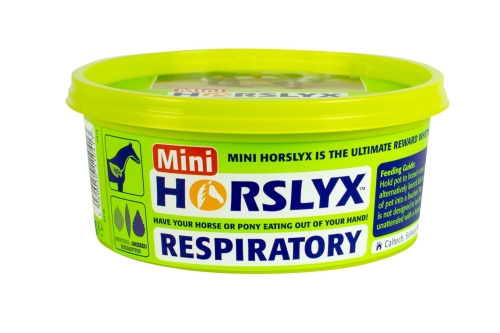 horslyx-respiratory-lizawka.jpg