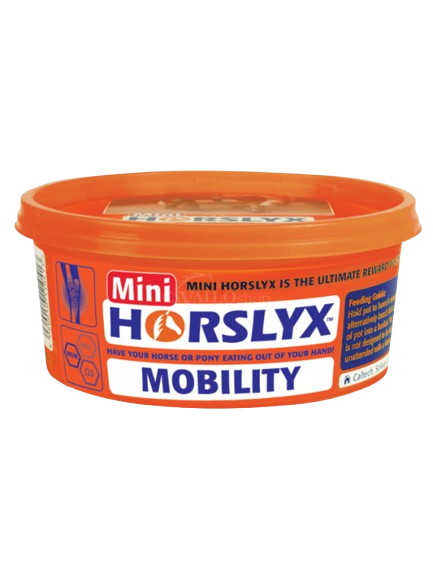 horslyx-mobility-lizawka.png