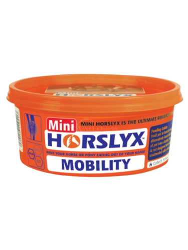 horslyx-mobility-lizawka.png