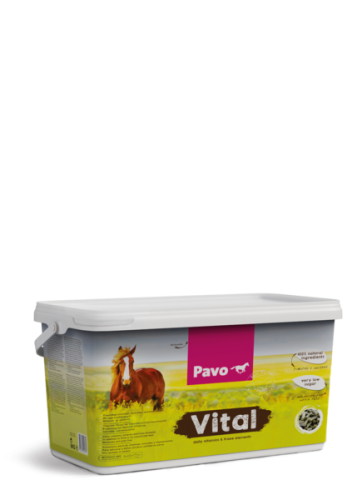 Pavo-Vital-witaminy-koni.png