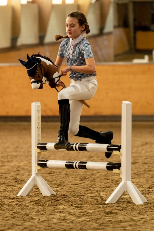 hkm-hobby-horse.jpg