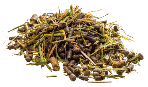 Pavo-EaseExcel-musli-koni.png