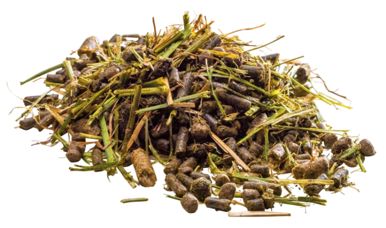 Pavo-EaseExcel-musli-koni.png