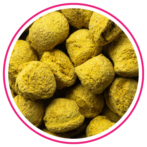 BIOFEED-Horse-Pony-Candy-Cookies-Banana-with-turmeric1.png