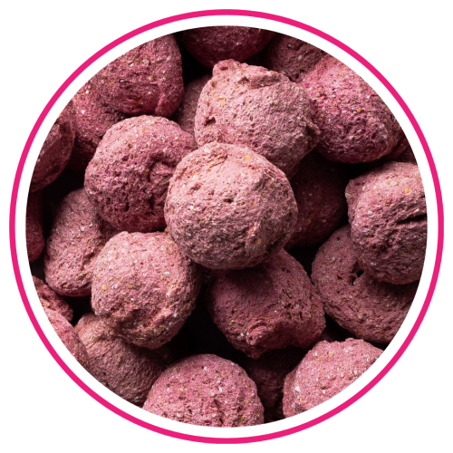 BIOFEED-Horse-Pony-Candy-Cookies-Raspberry-Strawberry-with-beetroot1.png