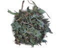mniszek-lakarski-equiherbs3.jpg