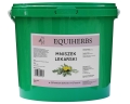 mniszek-lakarski-equiherbs1.jpg