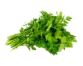 pietruszka-nac-equiherbs.jpg