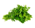 pietruszka-nac-equiherbs.jpg