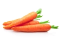 marchew-suszona-equiherbs.jpg