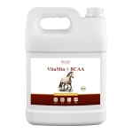 Witaminy, minerały i aminokwasy OVER HORSE "VitaMin  + BCAA" 5l