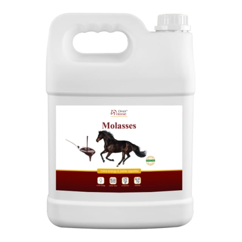 Melasa-over-horse5.jpg