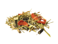 Pavo-InShape-pasza.png