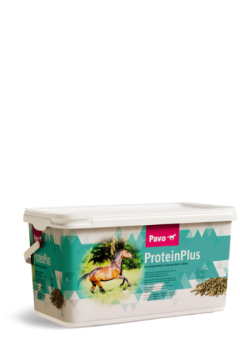 PAVO-ProteinPlus.png