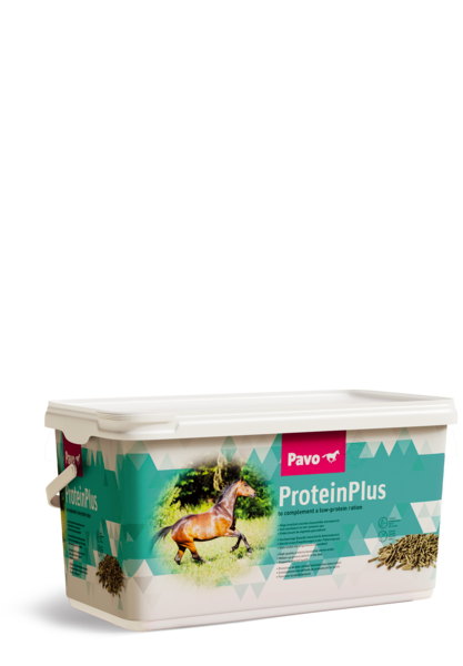 PAVO-ProteinPlus.png