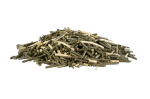 Pavo-MuscleBuild-miesnie-koni.png