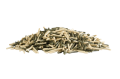 Pavo-NervControl-koni.png