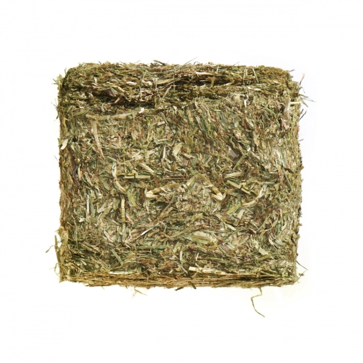 agrobs-sieczka-prealpin-compact.jpg