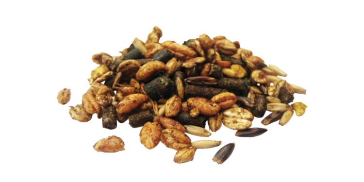 pavo-Triple-P-pasza.png