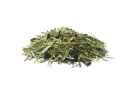 PAVO-DailyPlus-sieczka-koni.png