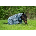 derka-siatkowa-HKM-zebra-aqua1.jpg