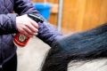 doctor-horse-odzywka-grzywa-ogon5.jpeg