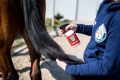 doctor-horse-odzywka-grzywa-ogon6.jpg