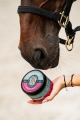 masc-na-otarcia-doctor-horse-plasterek.jpg