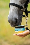 doctor-horse-parasun.jpg