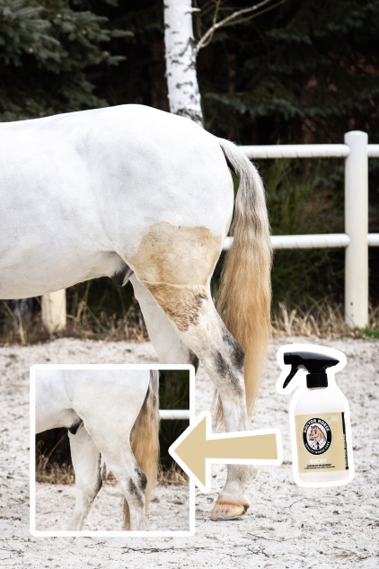 doctor-horse-suchy-szampon.jpg