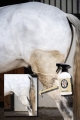 doctor-horse-suchy-szampon1.jpg