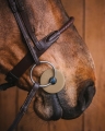 slinianki-fager-bit-guard1.jpg