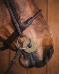 slinianki-fager-bit-guard1.jpg