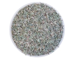 equiherbs-koper-wloski4.jpg