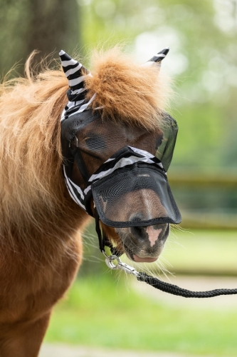 maska-przeciw-owadom-HKM-Zebra-Shetty