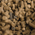 hippovet-e-selen-granulat.png