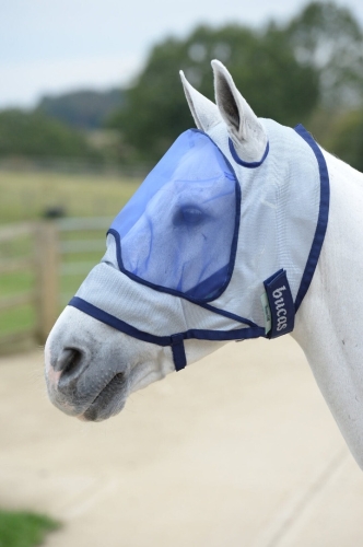 Buzz-Off-Deluxe-Fly-Mask-No-Ears-maska-przeciwko-owadom-dla-koni.jpg