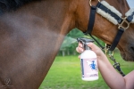 doctor-horse-pachnie-ze-mucha-nie-siada-owady4.jpg