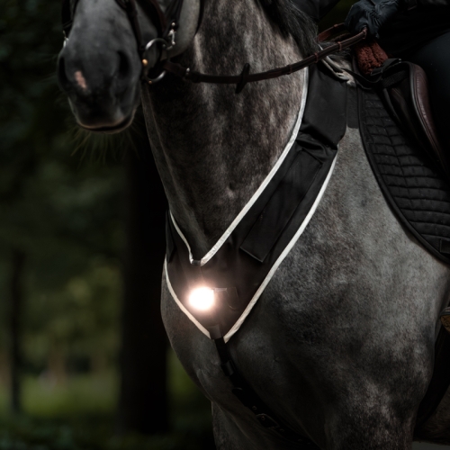 kavalkade-horselight-napiersnik-led-power-bank.jpg