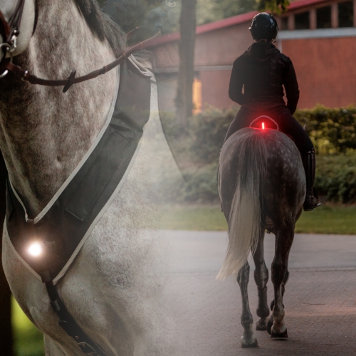 kavalkade-horselight-set.jpg