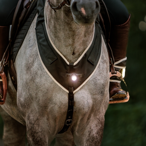 napiersnik-led-kavalkade-horselight.jpg