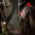 zestaw-led-kavalkade-horselight.jpg