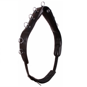 Pas do lonżowania skórzany DAW-MAG 11 kółek