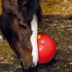 zabawka-pilka-dla-koni-likit-ball.jpg