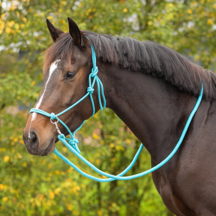 1195sk-2_4.jpg