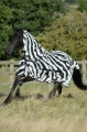 bucas-Buzz-Off Zebra & Neck derka siatkowa z kapturem dla koni.jpg